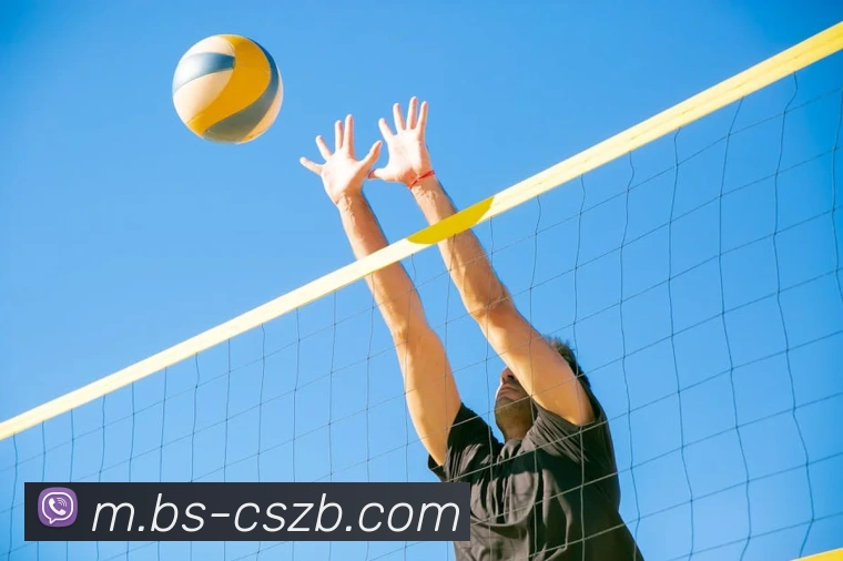 彩神争霸全站App 彩神争霸全站App